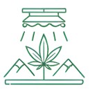 Mexican Greenhouse & Outdoor