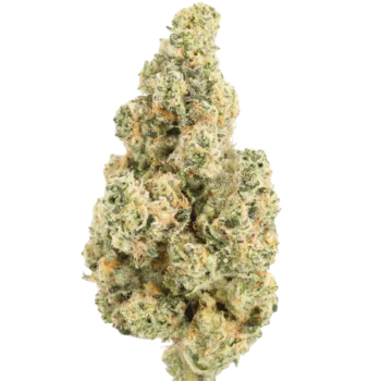 Chocolate Sunset Melt