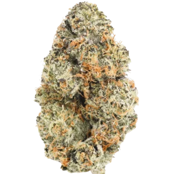 Platinum Gasoline Runtz