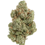 Blackberry Diesel Punch