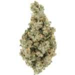 Mango Frostbite Hydro