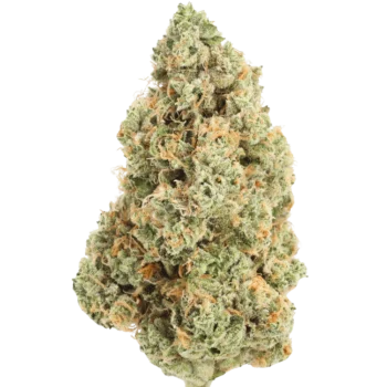 Midnight Gelato Swirl